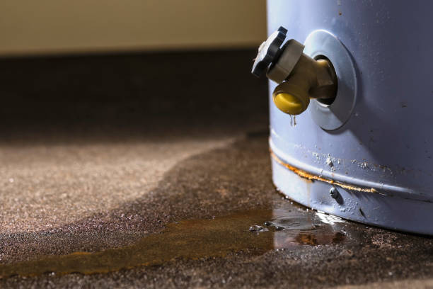 Best Carpet water damage restoration  in Blythewood, SC