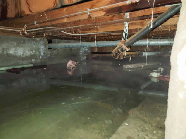 Water damage restoration insurance claims in SC