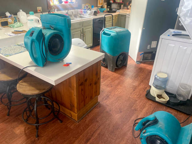 Best 24-hour water damage restoration  in Blythewood, SC