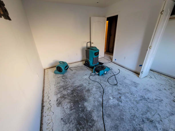 Best Emergency water extraction  in Blythewood, SC