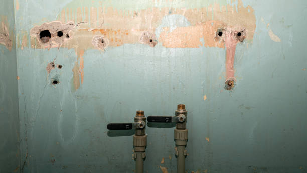 Best Water damage restoration near me  in Blythewood, SC